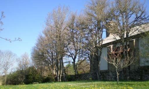 Hostal Casa Sario Jaurrieta Luaran gambar