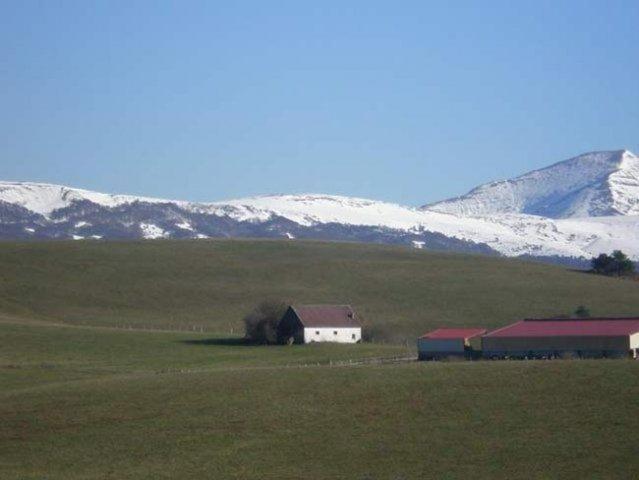 Hostal Casa Sario Jaurrieta Luaran gambar